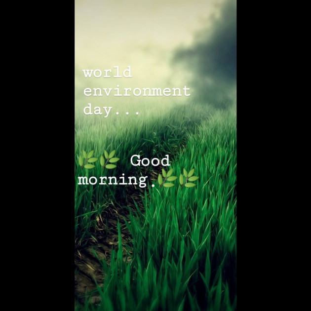 English Good Morning by Sonu : 111461794