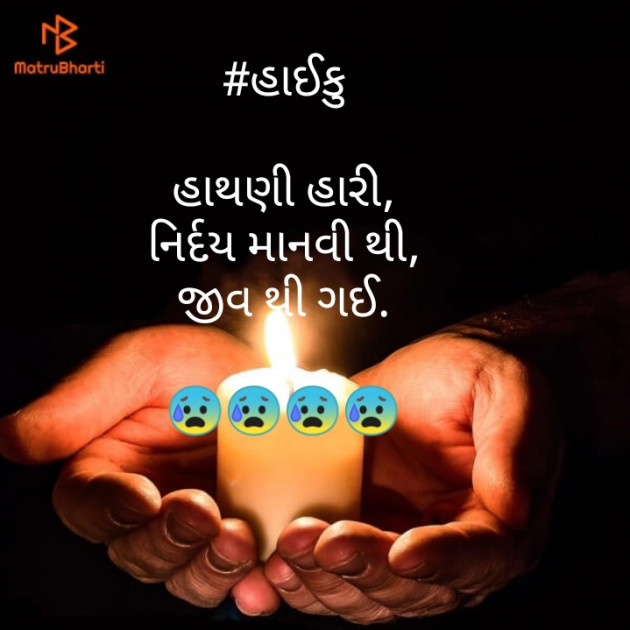 Gujarati Hiku by મુકેશ રાઠોડ : 111461861