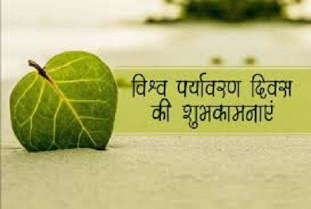Hindi Thought by Seema singhal sada : 111461900