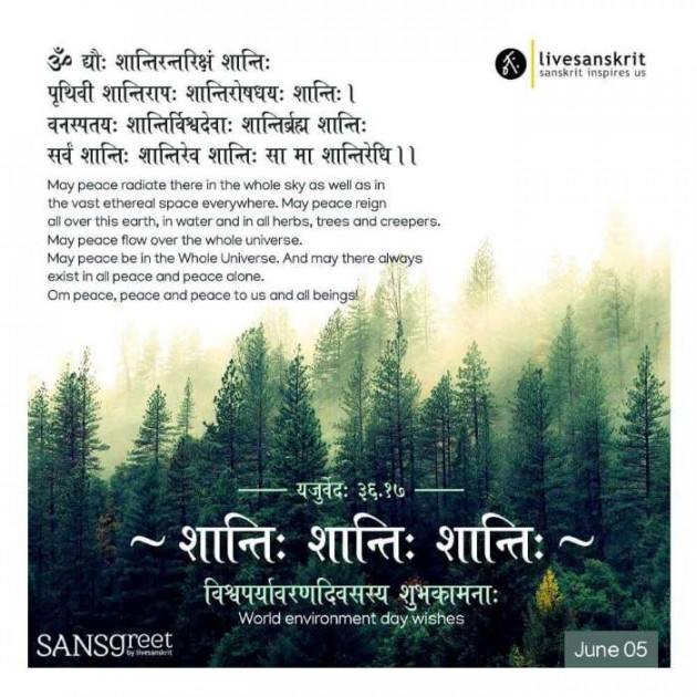 Hindi Blog by Chandrakant soni : 111462048