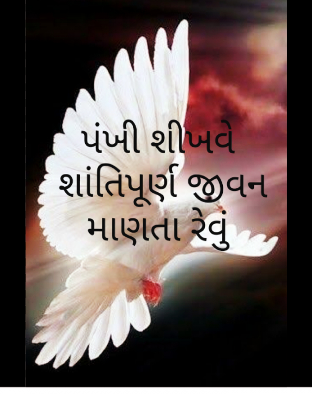 Gujarati Hiku by Hiralba Sisodiya : 111462130
