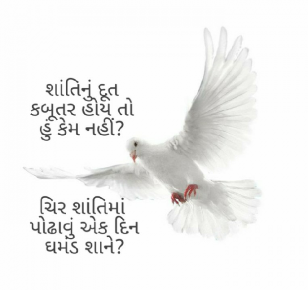 Gujarati Hiku by Firdos Bamji : 111462517