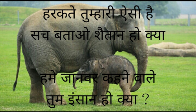 Hindi Thought by PUNIT SONANI 