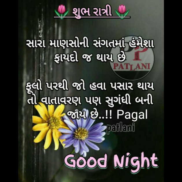 Gujarati Good Night by Manoj Leuva : 111462607