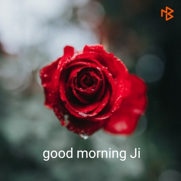 Hindi Good Morning by S K Ojha : 111462873