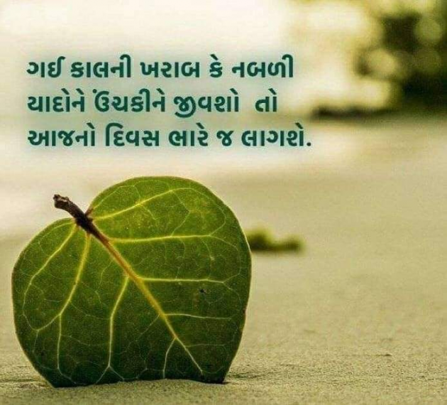 Gujarati Whatsapp-Status by Jyoti : 111463451
