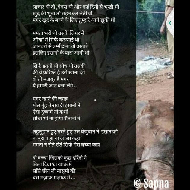 Hindi Poem by SAPNA jatiwal : 111463598