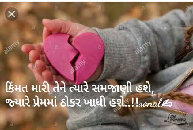 Gujarati Blog by Sonalpatadia Soni : 111463657