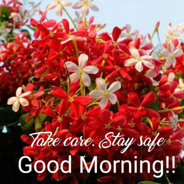 Hindi Good Morning by S K Ojha : 111464138