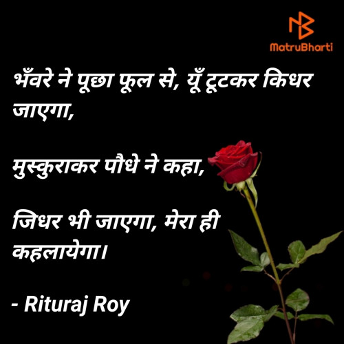 Post by Rituraj Roy on 07-Jun-2020 02:58pm
