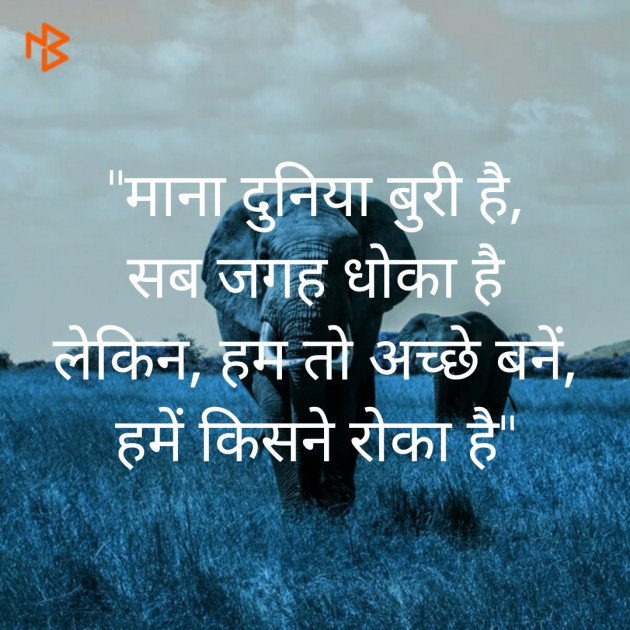 Hindi Thought by NSR... : 111464904