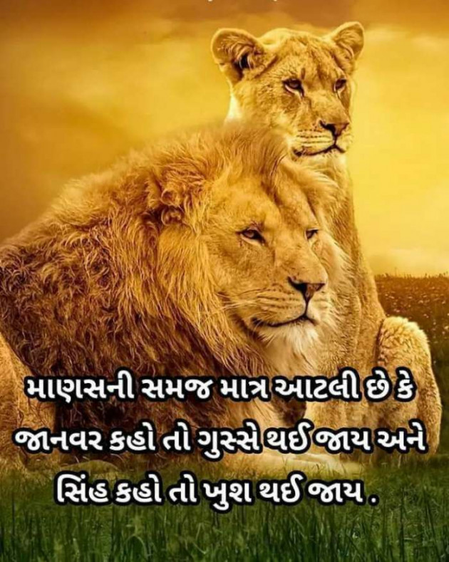 Gujarati Motivational by Harshad Patel : 111466001