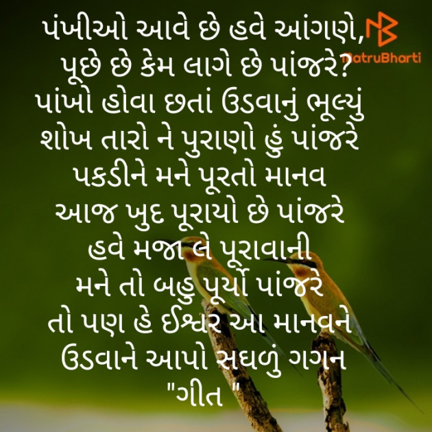 Gujarati Good Evening by Geeta Koriya : 111466273