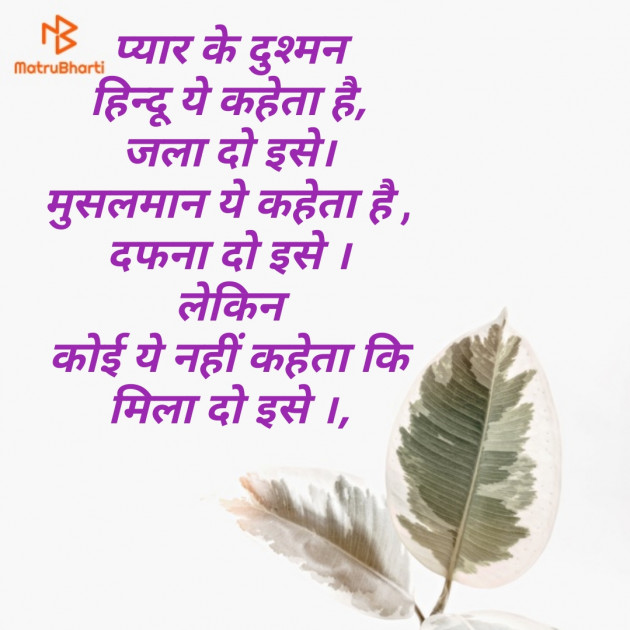 Hindi Poem by Daxa Parmar Zankhna. : 111467207