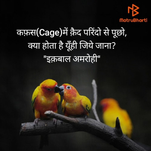 Post by Iqbal Amrohi on 09-Jun-2020 04:14pm