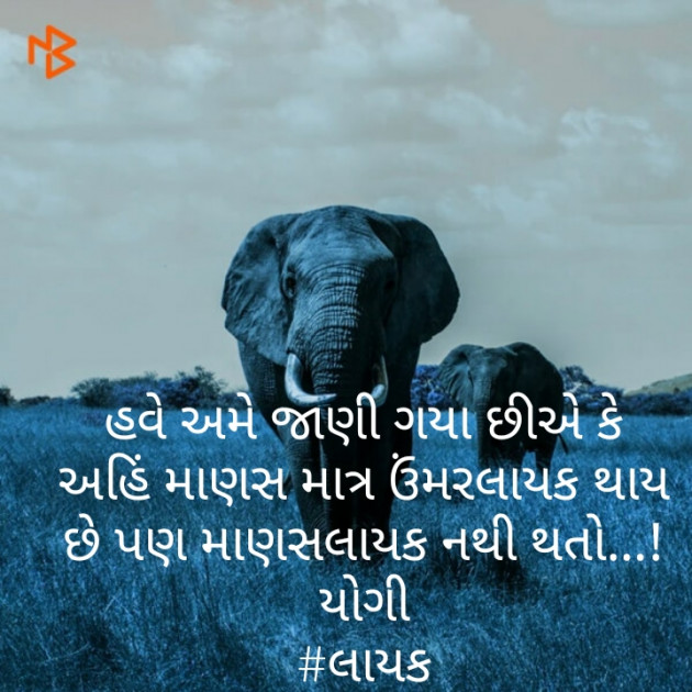 Gujarati Blog by Yogi : 111467400