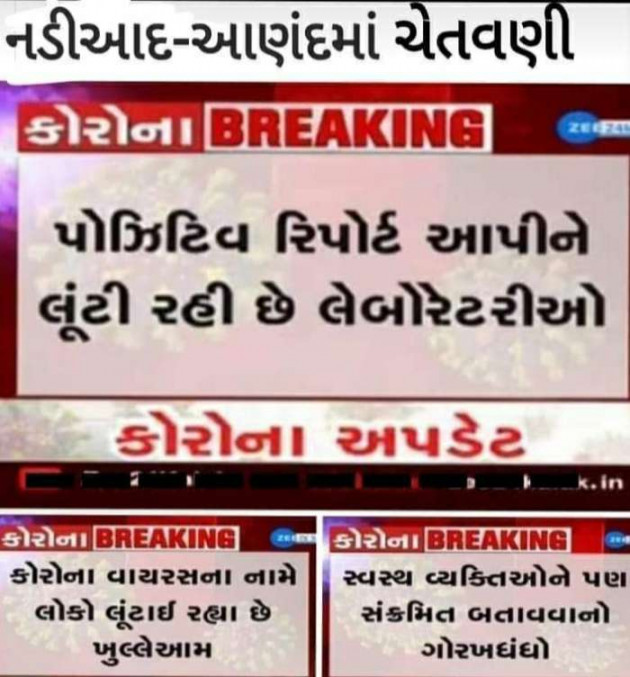 Gujarati News by Harshad Patel : 111467559