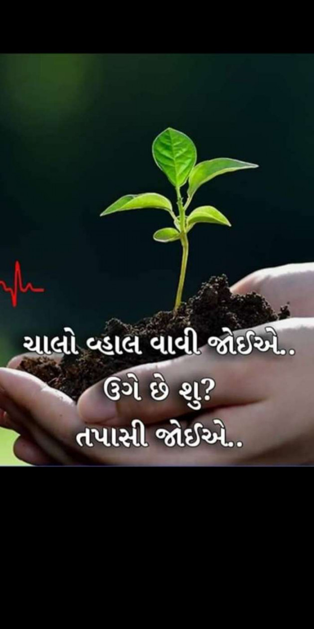 Hindi Thought by Heema Joshi : 111467927