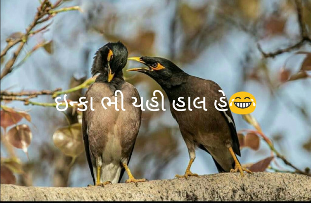 Gujarati Jokes by Dp, pratik : 111468434