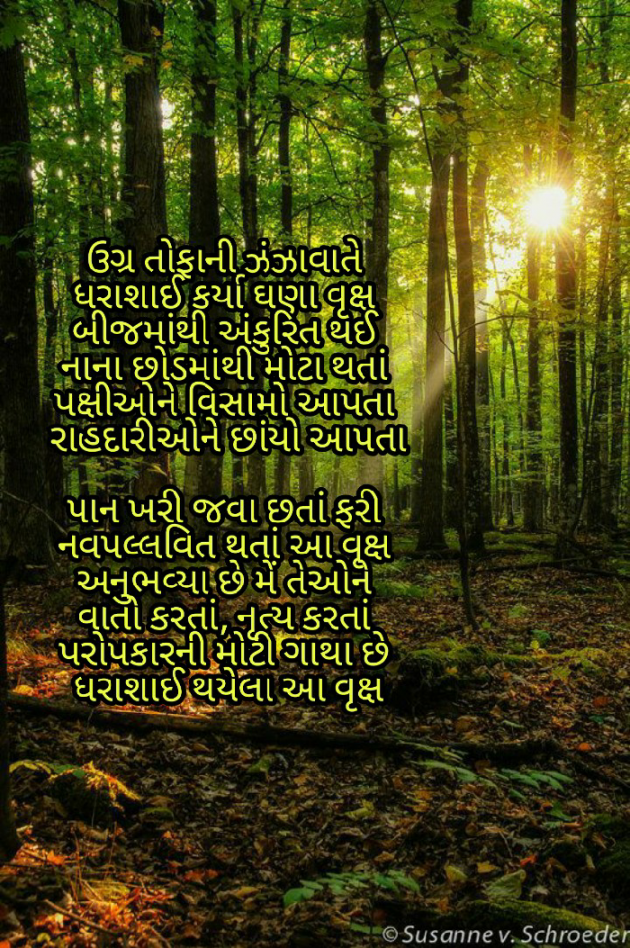 Gujarati Motivational by Firdos Bamji : 111468462