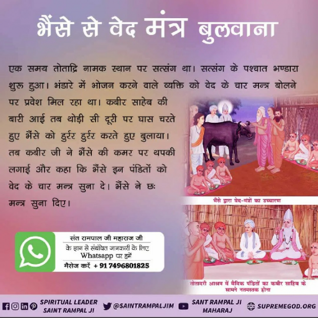 Hindi Religious by Supreme Saint : 111468825