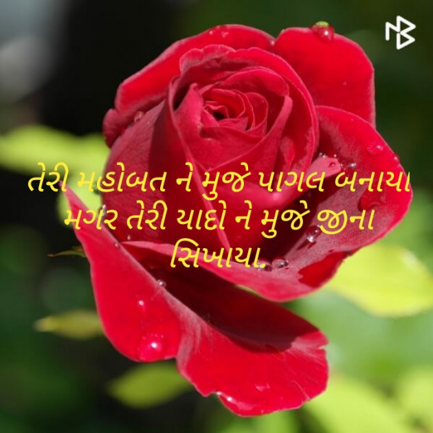 Gujarati Whatsapp-Status by Jyotsana Thakor : 111469593