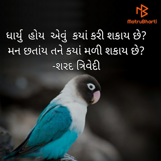 Gujarati Poem by Dr.Sharadkumar K Trivedi : 111471784