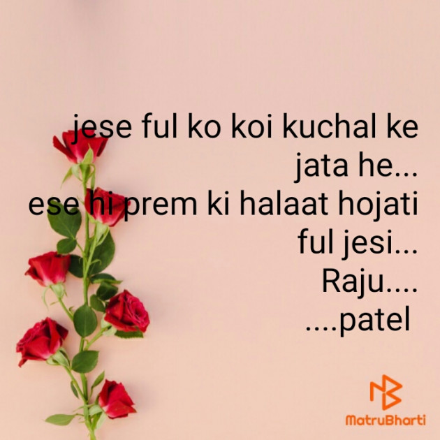 Hindi Whatsapp-Status by raju patel : 111471963