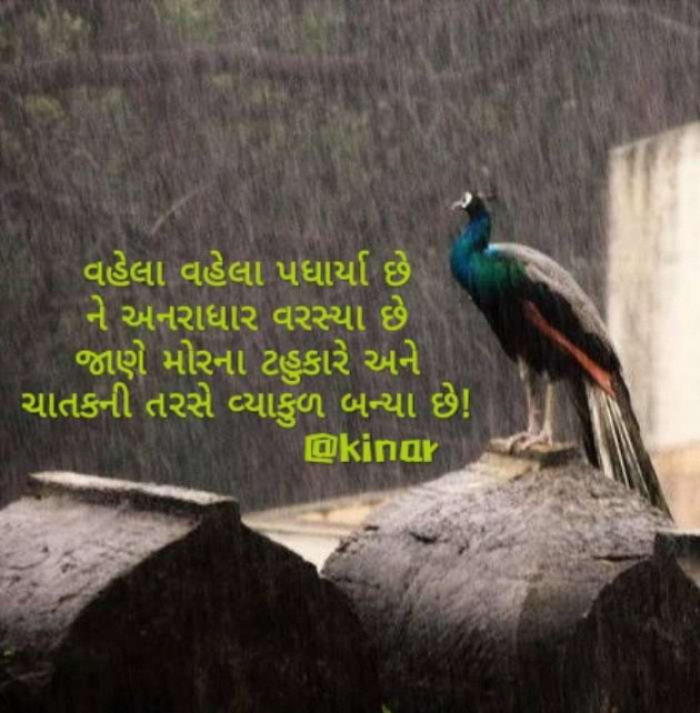 Gujarati Thought by Kinar Rana : 111473218