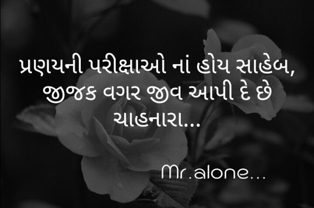 Gujarati Shayri by Mr. Alone... : 111473249