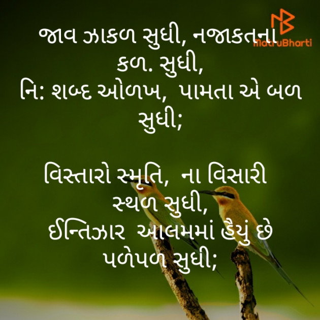 Gujarati Poem by મોહનભાઈ આનંદ : 111474776