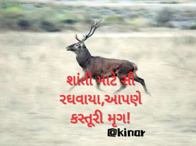 Gujarati Hiku by Kinar Rana : 111475081