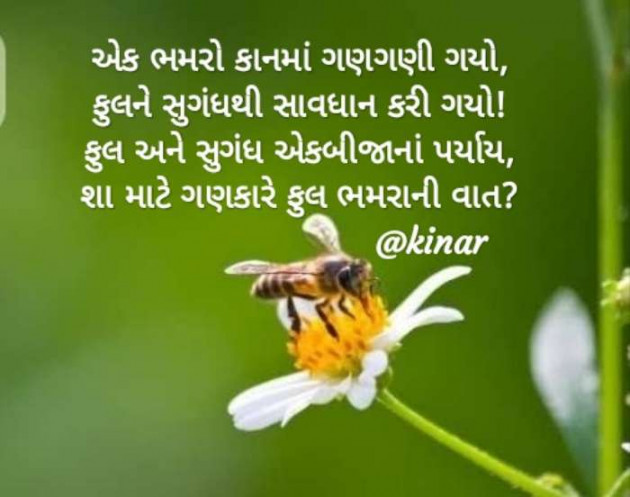 Gujarati Thought by Kinar Rana : 111476338