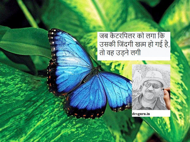 Hindi Thought by Subbu : 111476374