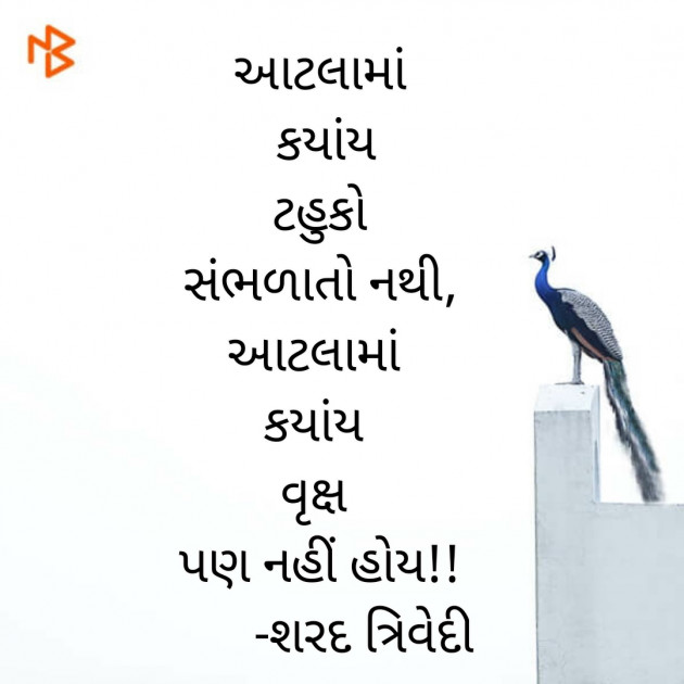 Gujarati Poem by Dr.Sharadkumar K Trivedi : 111477787