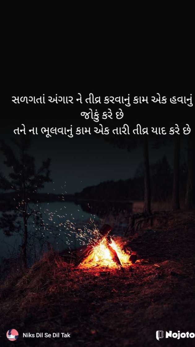 English Shayri by Nikita panchal : 111477926