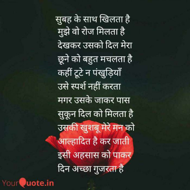 Hindi Poem by Rajnish Shrivastava : 111478153