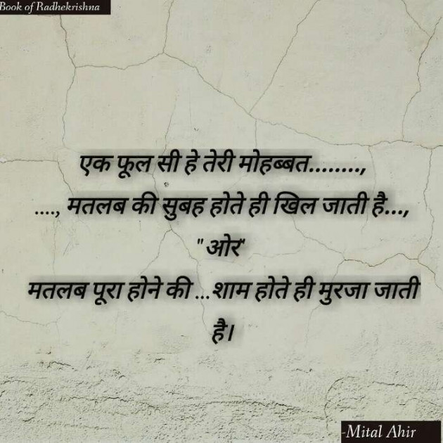Hindi Shayri by Mital Ahir11 : 111478788
