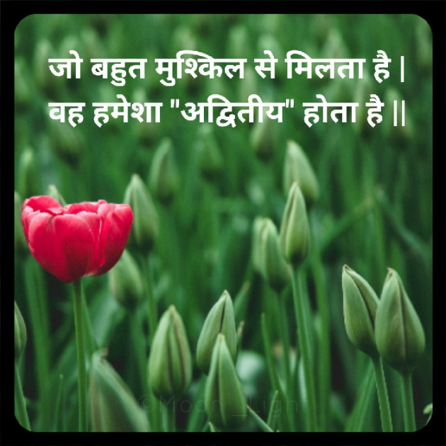 Hindi Quotes by SENTA SARKAR : 111479178