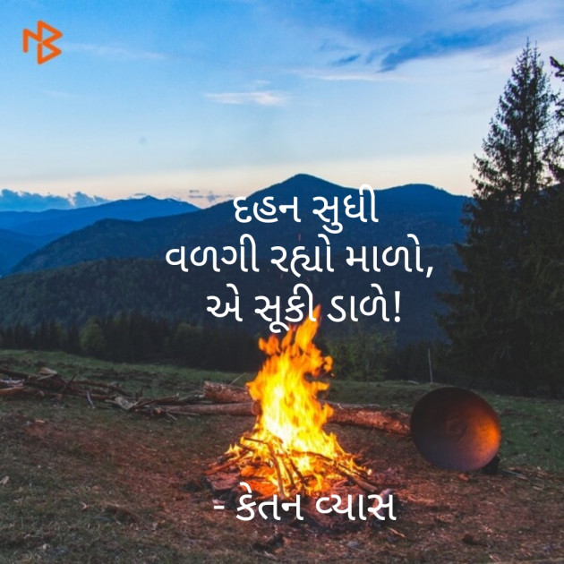 Gujarati Hiku by Ketan Vyas : 111479727