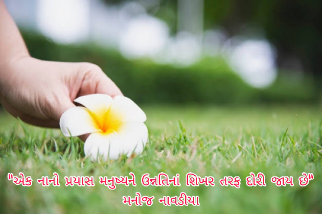 Gujarati Motivational by મનોજ નાવડીયા : 111479795