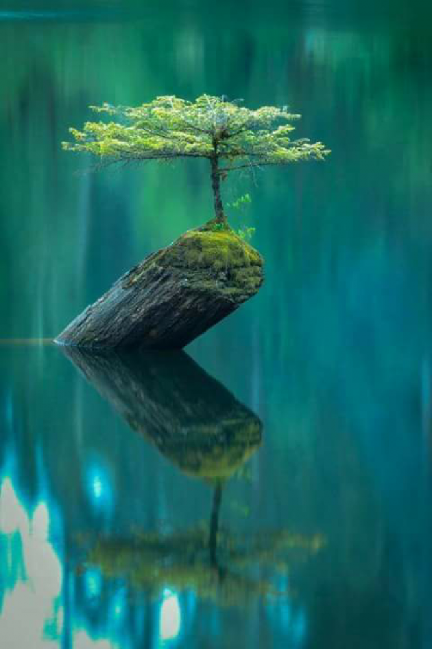 Hindi Thought by Riddhi Patoliya : 111481292