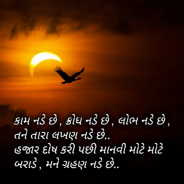 Gujarati Motivational by Yuvrajsinh jadeja : 111481376