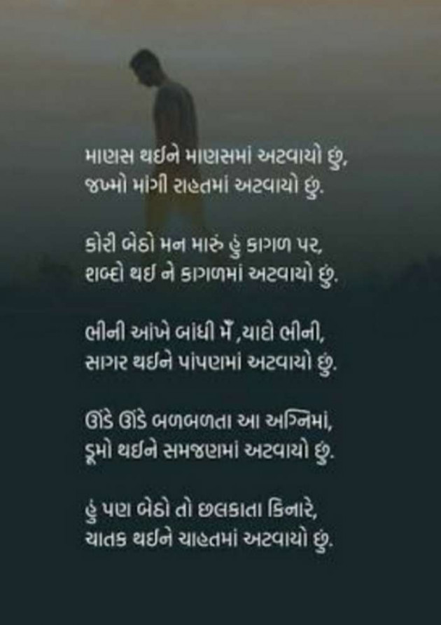 English Poem by Lioness of Gujrat : 111482488