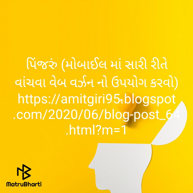 Gujarati Blog by Amit Giri Goswami : 111482503