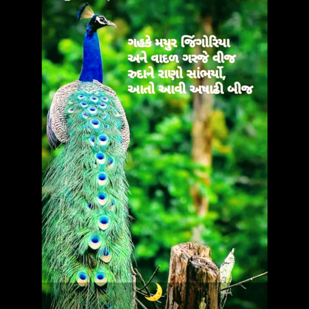 Gujarati Religious by JMC : 111483621