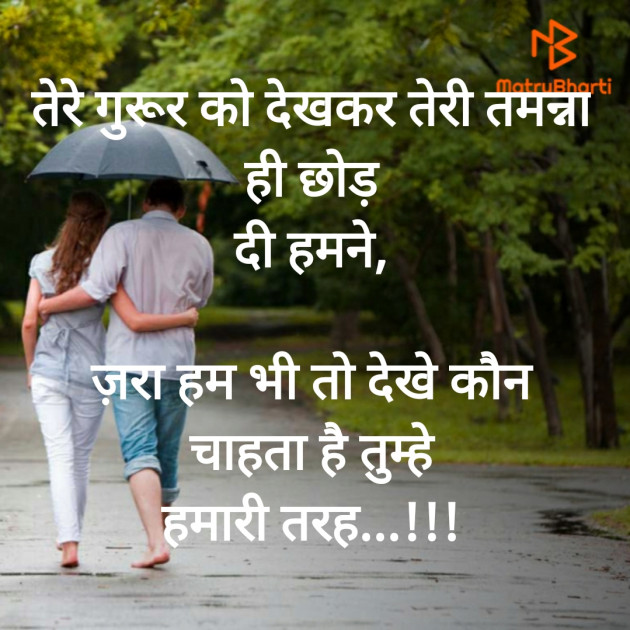 Hindi Shayri by Nalin Bhavsar : 111483879