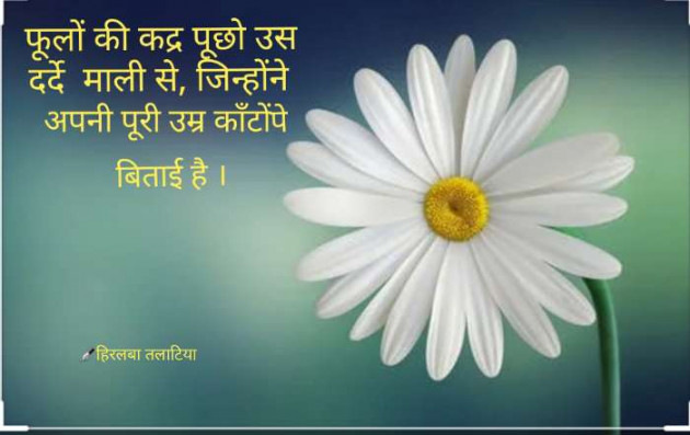 Hindi Thought by Hiralba Sisodiya : 111484196
