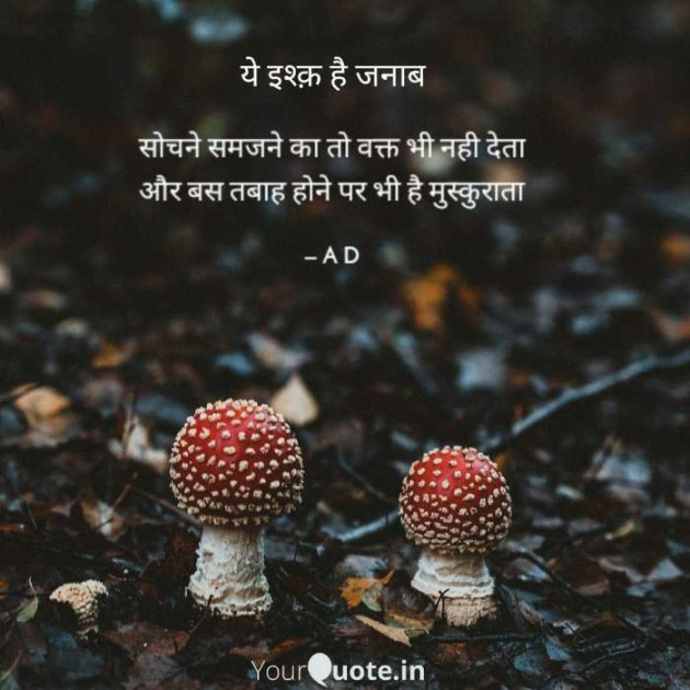 English Shayri by Mir : 111485023