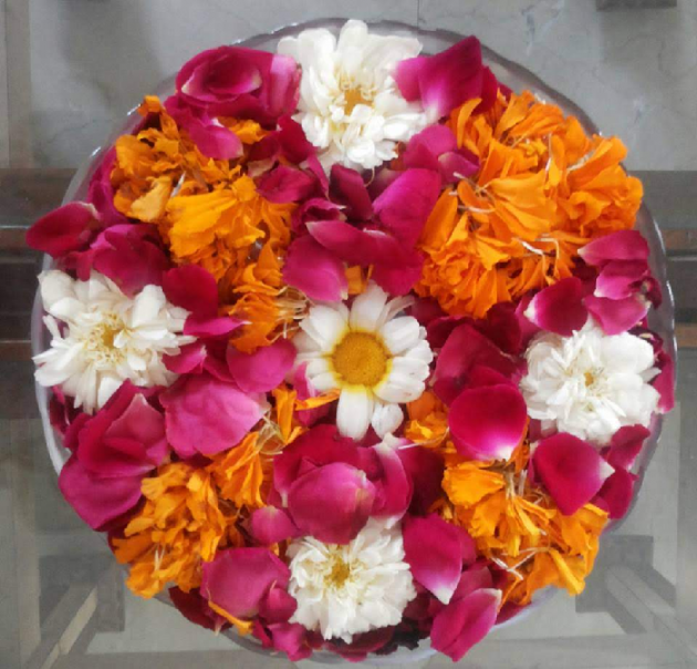 Gujarati Thought by Hetal : 111485853